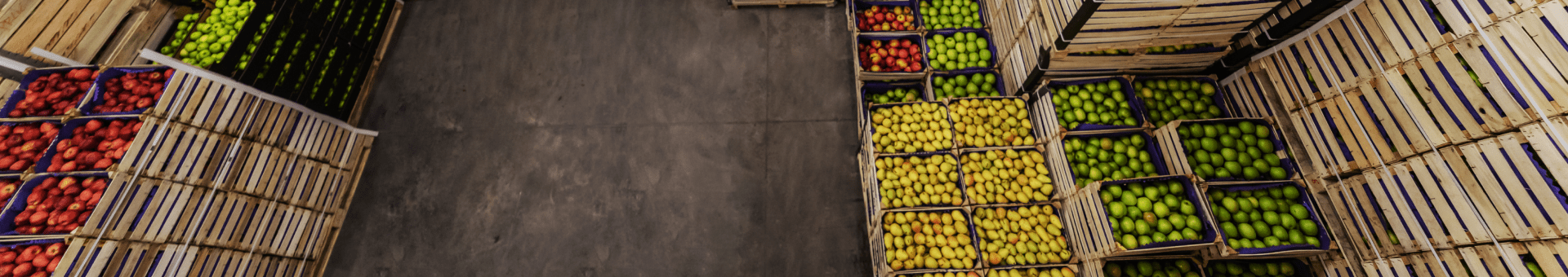 Soğuk Zincir Depolaması